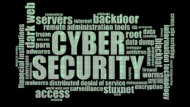 cyber Securité